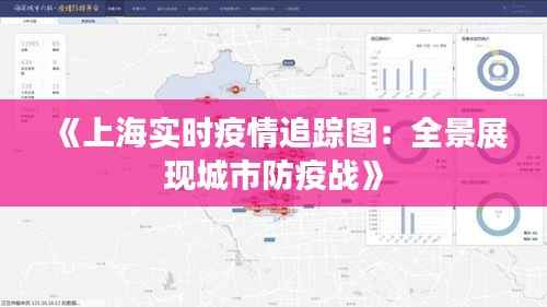 《上海实时疫情追踪图:全景展现城市防疫战》