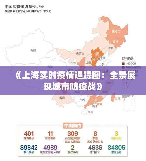 《上海实时疫情追踪图:全景展现城市防疫战》