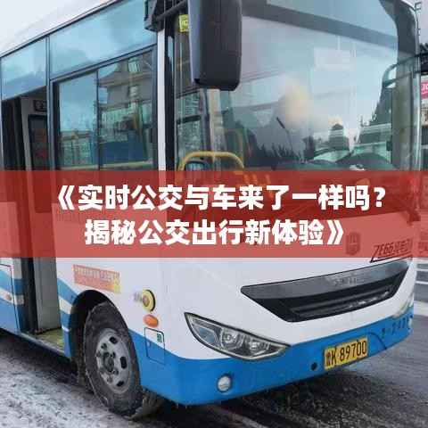 《实时公交与车来了一样吗?揭秘公交出行新体验》