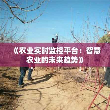《农业实时监控平台:智慧农业的未来趋势》