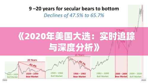 《2020年美国大选:实时追踪与深度分析》