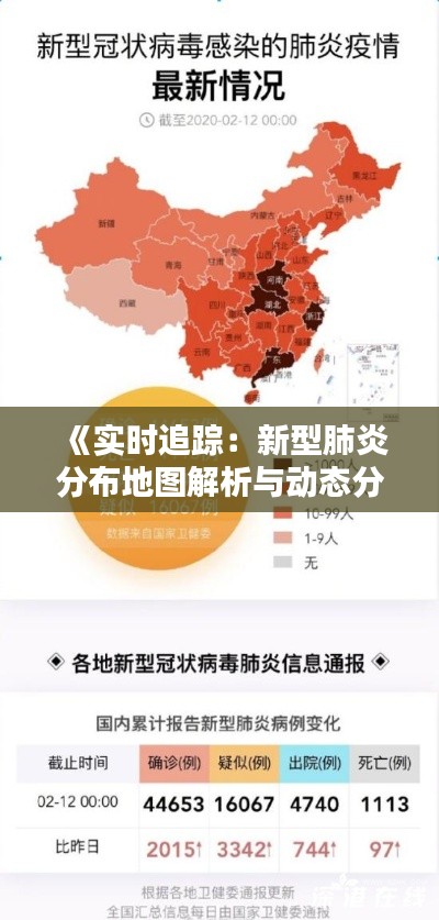 《实时追踪:新型肺炎分布地图解析与动态分析》