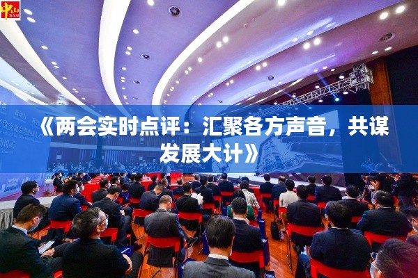 《两会实时点评:汇聚各方声音,共谋发展大计》