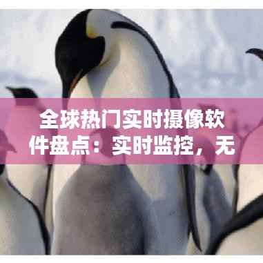 全球热门实时摄像软件盘点：实时监控，无时差体验