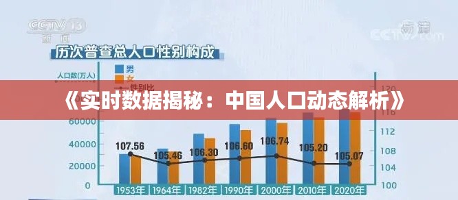 《实时数据揭秘：中国人口动态解析》