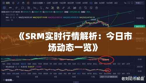 《SRM实时行情解析:今日市场动态一览》