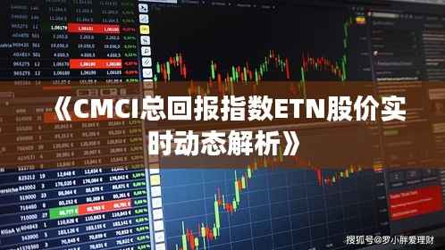 《CMCI总回报指数ETN股价实时动态解析》