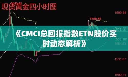《CMCI总回报指数ETN股价实时动态解析》