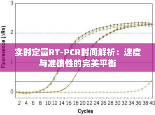实时定量RT-PCR时间解析:速度与准确性的完美平衡