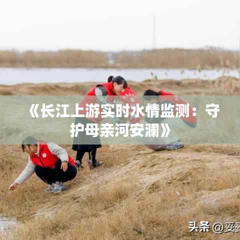 《长江上游实时水情监测:守护母亲河安澜》