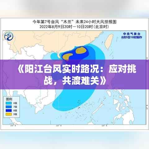 《阳江台风实时路况：应对挑战，共渡难关》