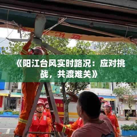 《阳江台风实时路况:应对挑战,共渡难关》