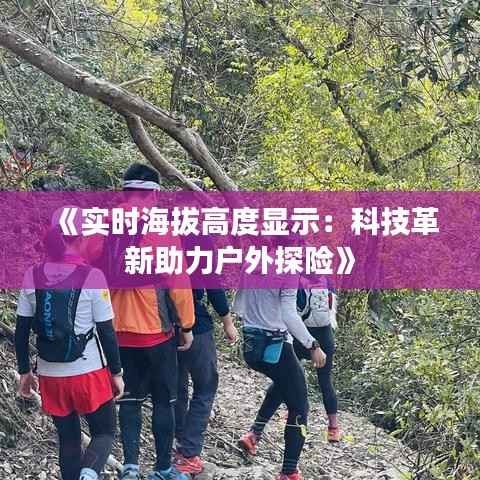 《实时海拔高度显示:科技革新助力户外探险》