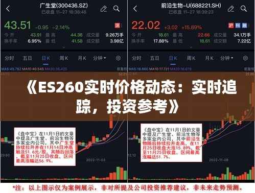 《ES260实时价格动态:实时追踪,投资参考》