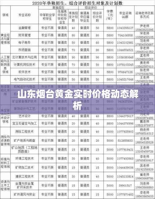 山东烟台黄金实时价格动态解析