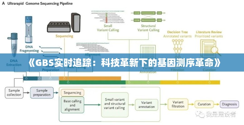 《GBS实时追踪:科技革新下的基因测序革命》
