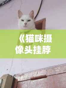 《猫咪摄像头挂脖:实时监控,爱宠生活更安心》