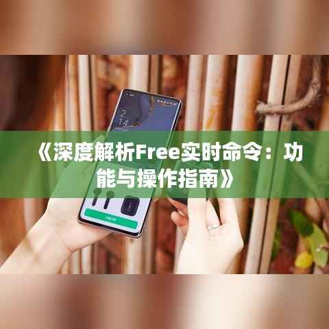 《深度解析Free实时命令:功能与操作指南》