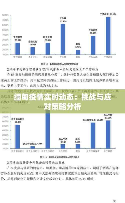 缅甸疫情实时动态:挑战与应对策略分析