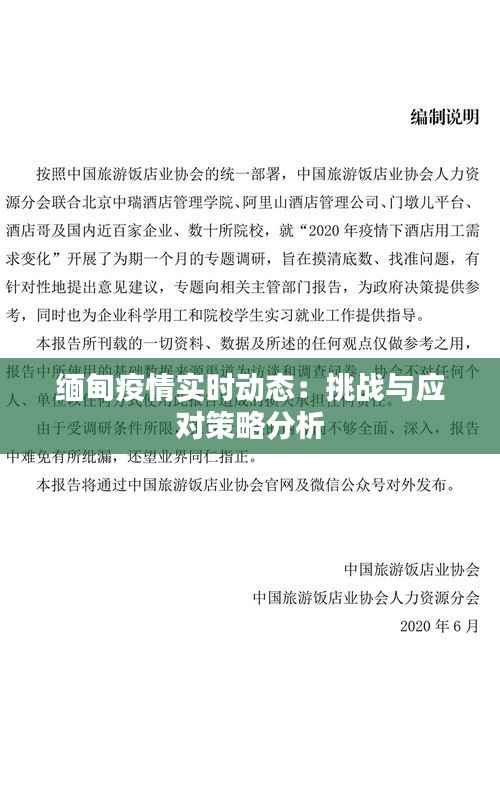 缅甸疫情实时动态:挑战与应对策略分析