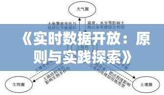 《实时数据开放：原则与实践探索》