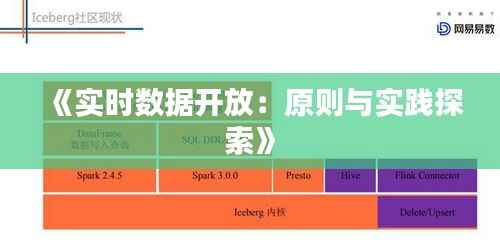 《实时数据开放:原则与实践探索》