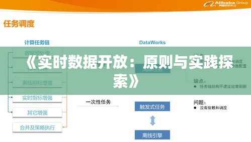 《实时数据开放:原则与实践探索》