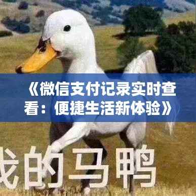 《微信支付记录实时查看:便捷生活新体验》