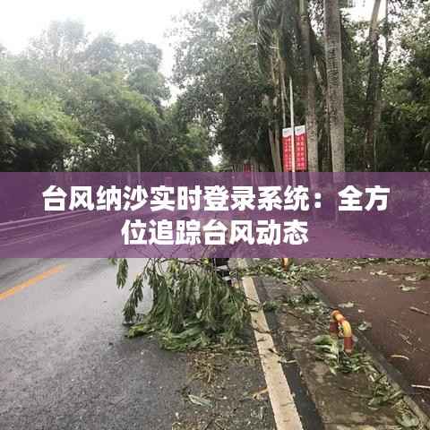 台风纳沙实时登录系统：全方位追踪台风动态