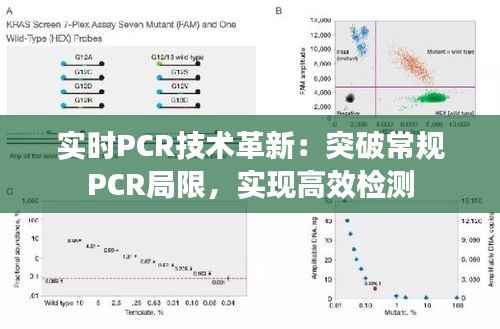 实时PCR技术革新:突破常规PCR局限,实现高效检测