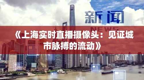 《上海实时直播摄像头:见证城市脉搏的流动》