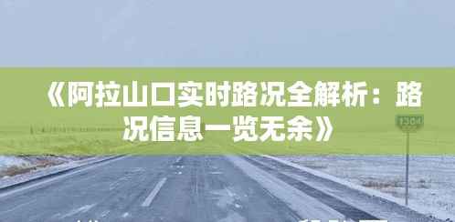《阿拉山口实时路况全解析:路况信息一览无余》