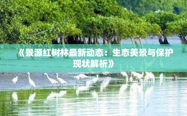 《景源红树林最新动态:生态美景与保护现状解析》