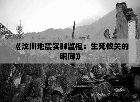 《汶川地震实时监控:生死攸关的瞬间》