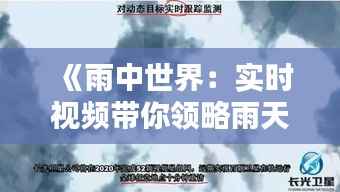 《雨中世界:实时视频带你领略雨天的魅力》