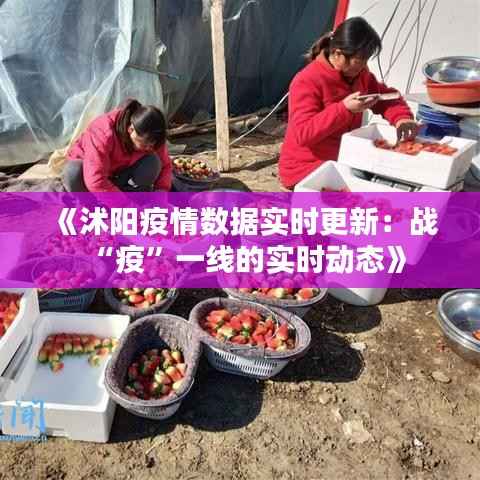 《沭阳疫情数据实时更新:战“疫”一线的实时动态》