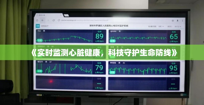 《实时监测心脏健康,科技守护生命防线》