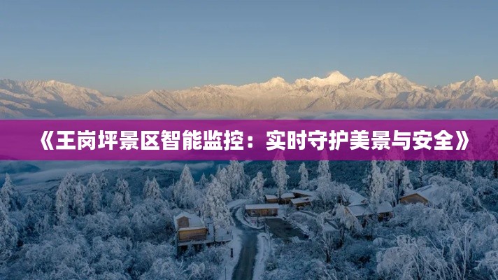 《王岗坪景区智能监控:实时守护美景与安全》