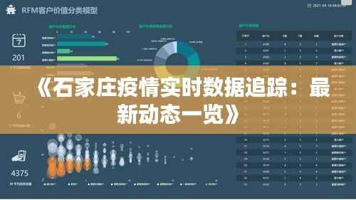 《石家庄疫情实时数据追踪:最新动态一览》