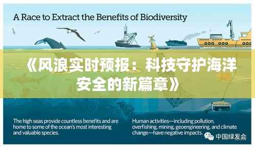 《风浪实时预报：科技守护海洋安全的新篇章》