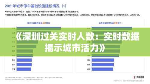 《深圳过关实时人数:实时数据揭示城市活力》