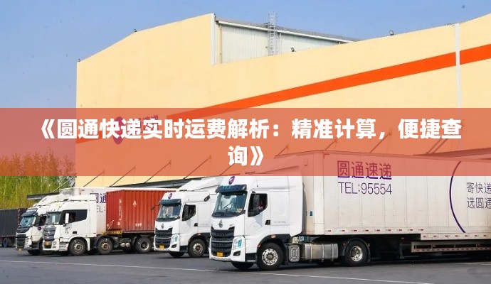 《圆通快递实时运费解析:精准计算,便捷查询》