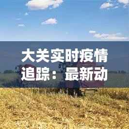 大关实时疫情追踪:最新动态与防控措施