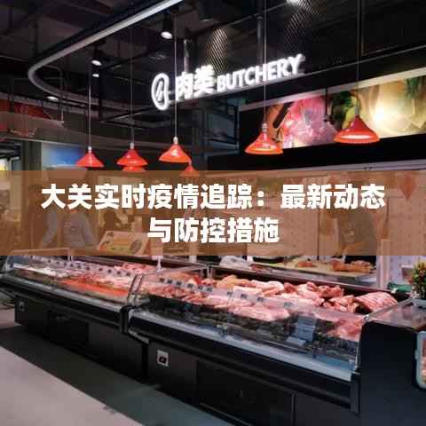 大关实时疫情追踪:最新动态与防控措施