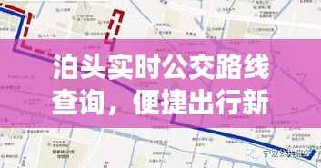 泊头实时公交路线查询,便捷出行新选择