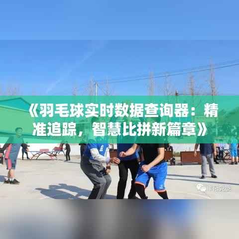 《羽毛球实时数据查询器:精准追踪,智慧比拼新篇章》