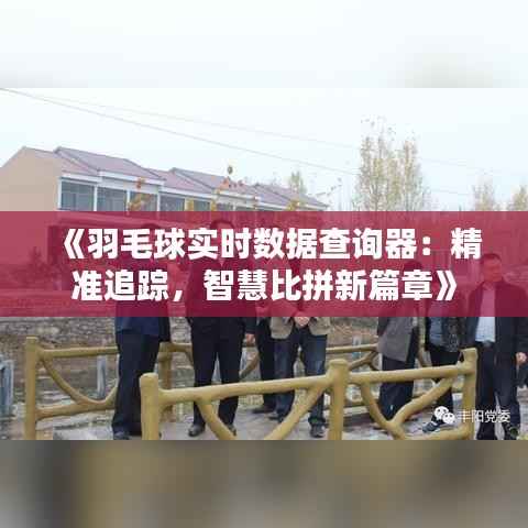 《羽毛球实时数据查询器:精准追踪,智慧比拼新篇章》