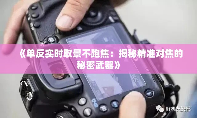 《单反实时取景不跑焦：揭秘精准对焦的秘密武器》