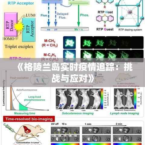 《格陵兰岛实时疫情追踪:挑战与应对》