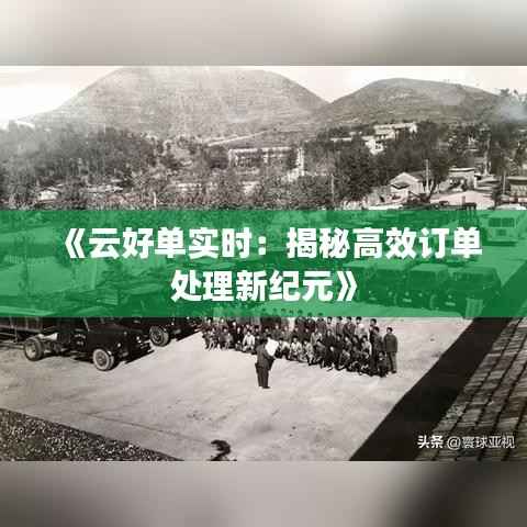 《云好单实时:揭秘高效订单处理新纪元》